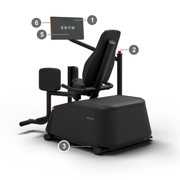 M11_Adductor_Rear-Left.png