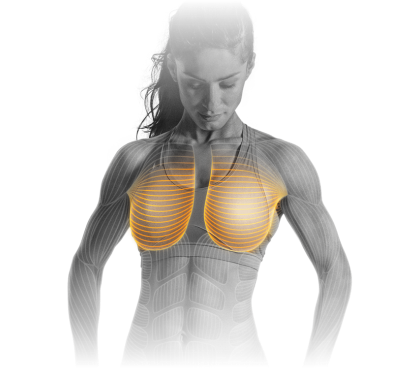 M5_Chest_Press.png