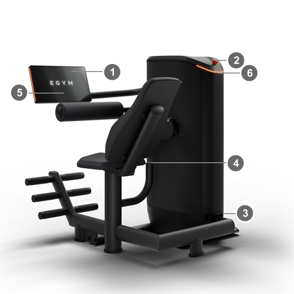 M2_Abdominal_Crunch_Rear-Left.png