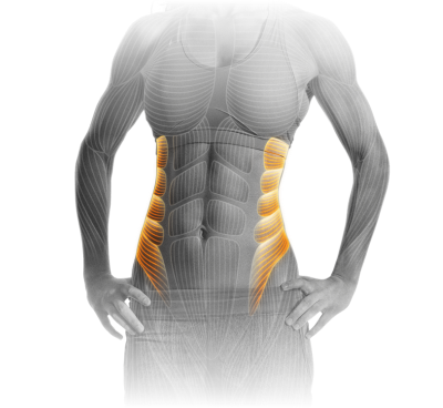 M12_Rotary_Torso.png