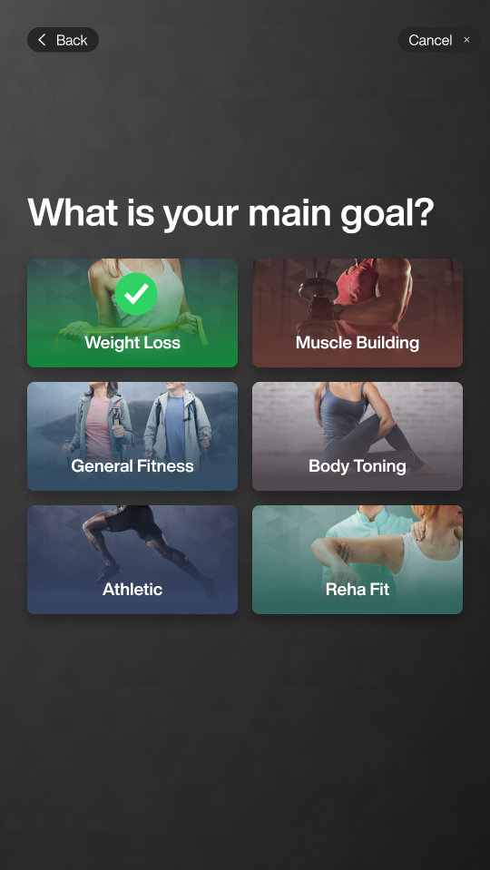main_goal.png