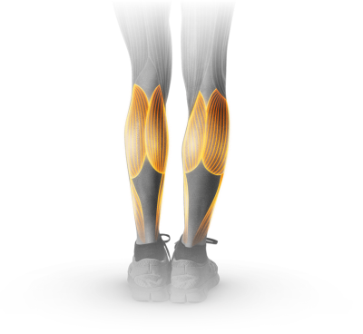 M16_Calf_Press.png