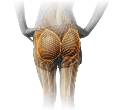 M19_Hip_Trust.png