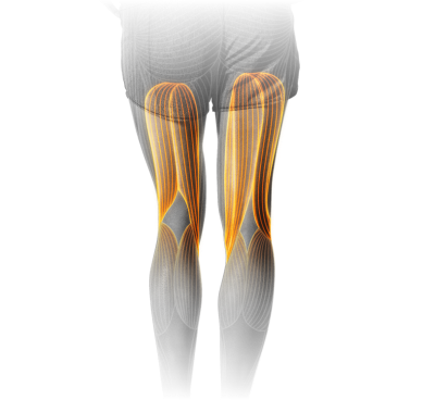 M4_Leg_Curl.png