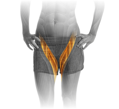 M11_Adductor.png