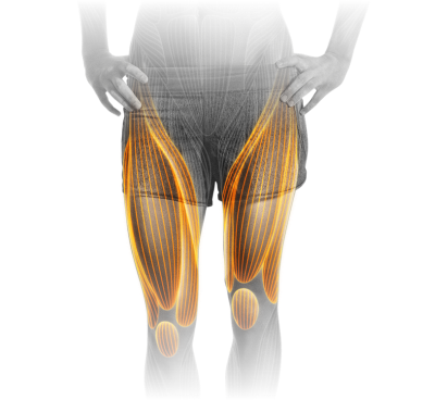 M1_Leg_Extension.png