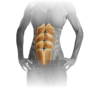 M2_Abdominal_Crunch.png
