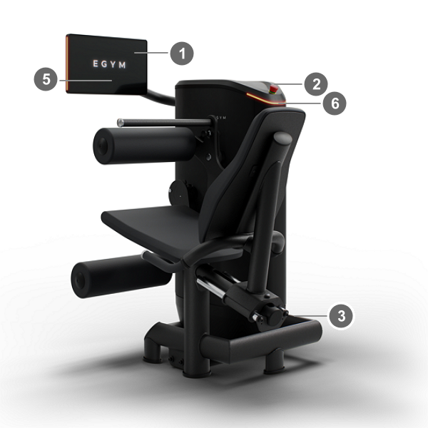 M4_Leg_Curl_Rear-Left.png