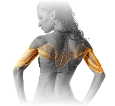 M18_Tricep_press.png