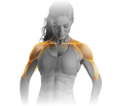 M17_Shoulder_press.png