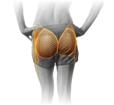 M8_Glutes.png